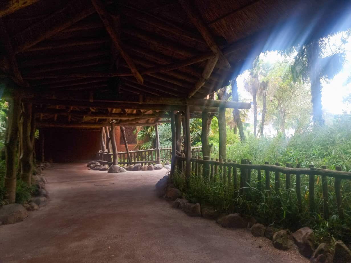 A quiet shaded pathway between Frontierland and Adventureland, ideal for a break during a Disneyland Paris pregnant visit.