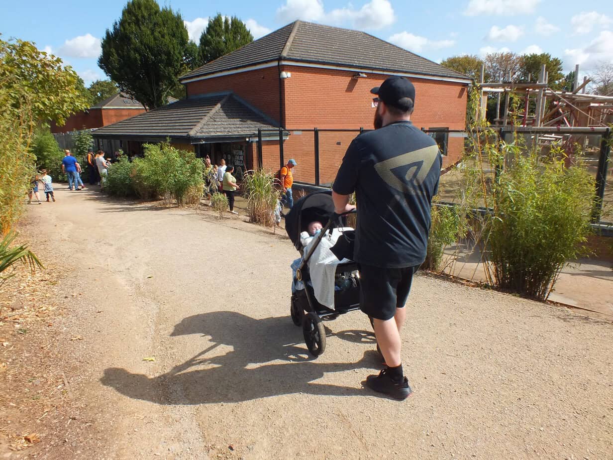 Adult pushes a baby in a stroller along a wide outdoor path at Twycross Zoo. Bamboo plants line the route with animal buildings and other visitors ahead.