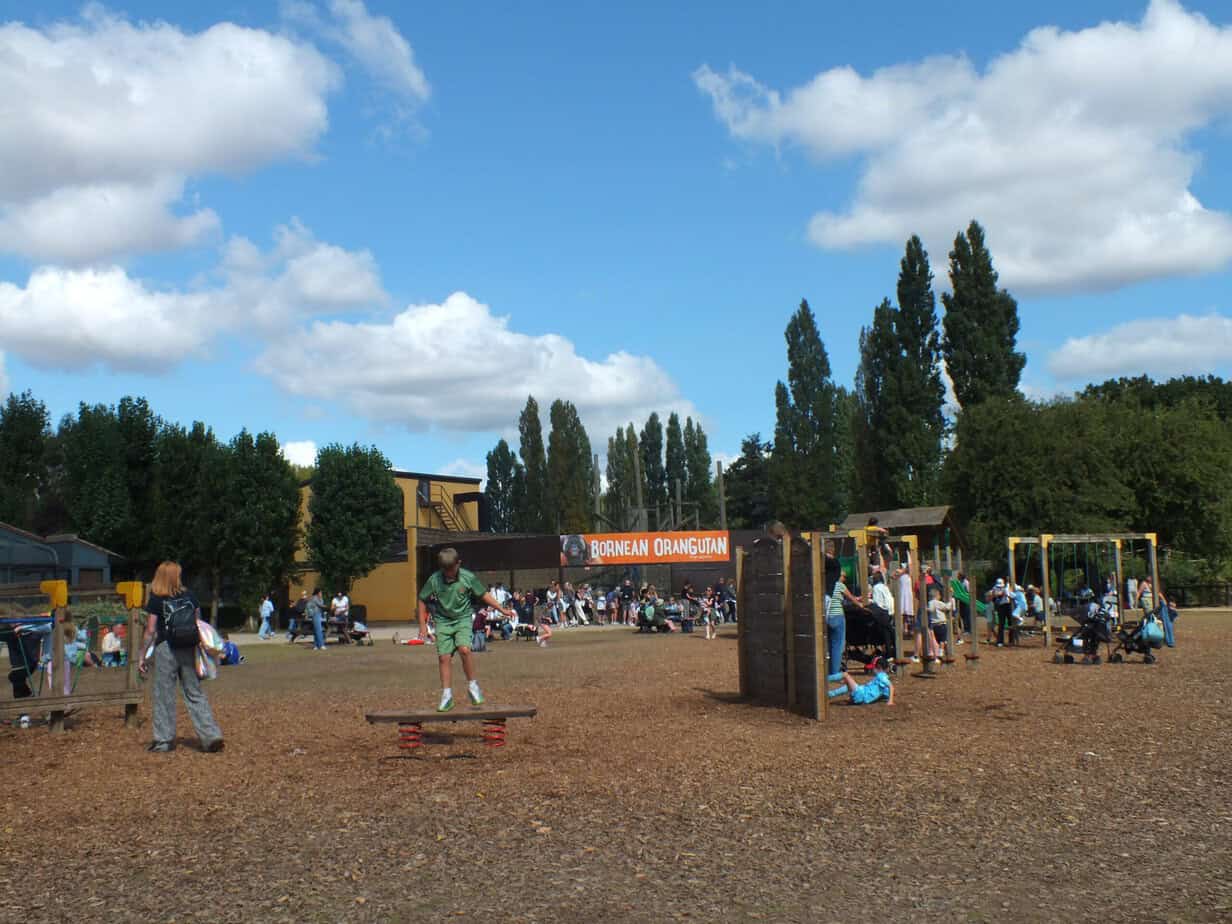 Busy childrens play area at Twycross Zoo with climbing equipment swings and families gathered around. A large sign reading "BORNEAN ORANGUTAN" is visible behind the playground.