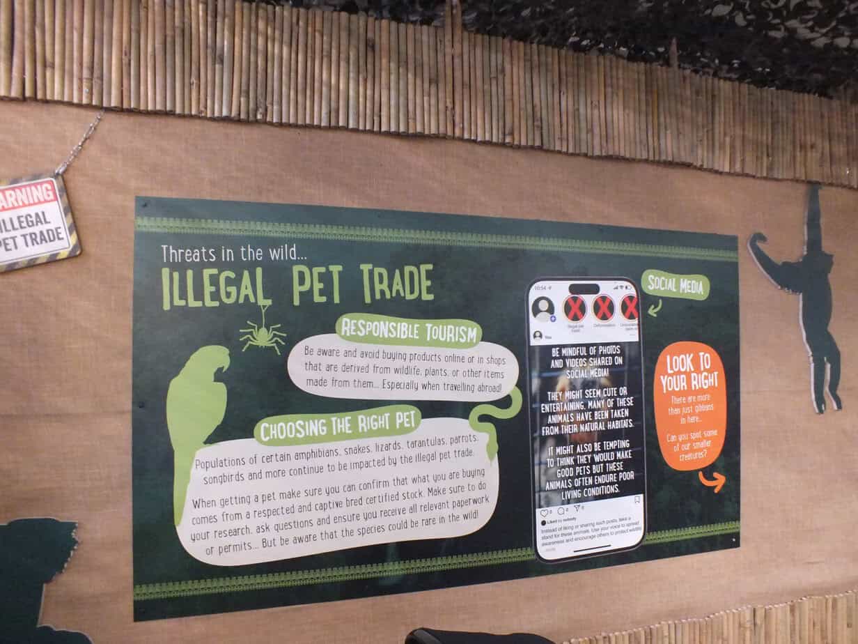 Educational conservation display at Twycross Zoo headed "Threats in the wild. ILLEGAL PET TRADE". Sections titled "RESPONSIBLE TOURISM" and "CHOOSING THE RIGHT PET" explain how wildlife products and the illegal pet trade can harm wild populations while a "SOCIAL MEDIA" section warns visitors to consider how animals in shared photos and videos are treated.