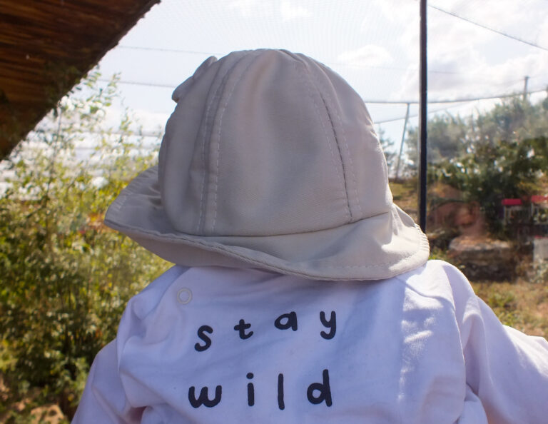 Baby wearing a pale sun hat and a white outfit with the words "stay wild" while looking toward an animal enclosure at Twycross Zoo. The moment captures what a visit can be like with a baby for families asking whether Twycross Zoo Worth It.