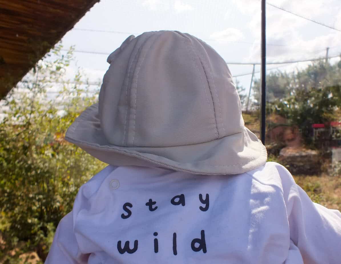 Baby wearing a pale sun hat and a white outfit with the words "stay wild" while looking toward an animal enclosure at Twycross Zoo. The moment captures what a visit can be like with a baby for families asking whether Twycross Zoo Worth It.