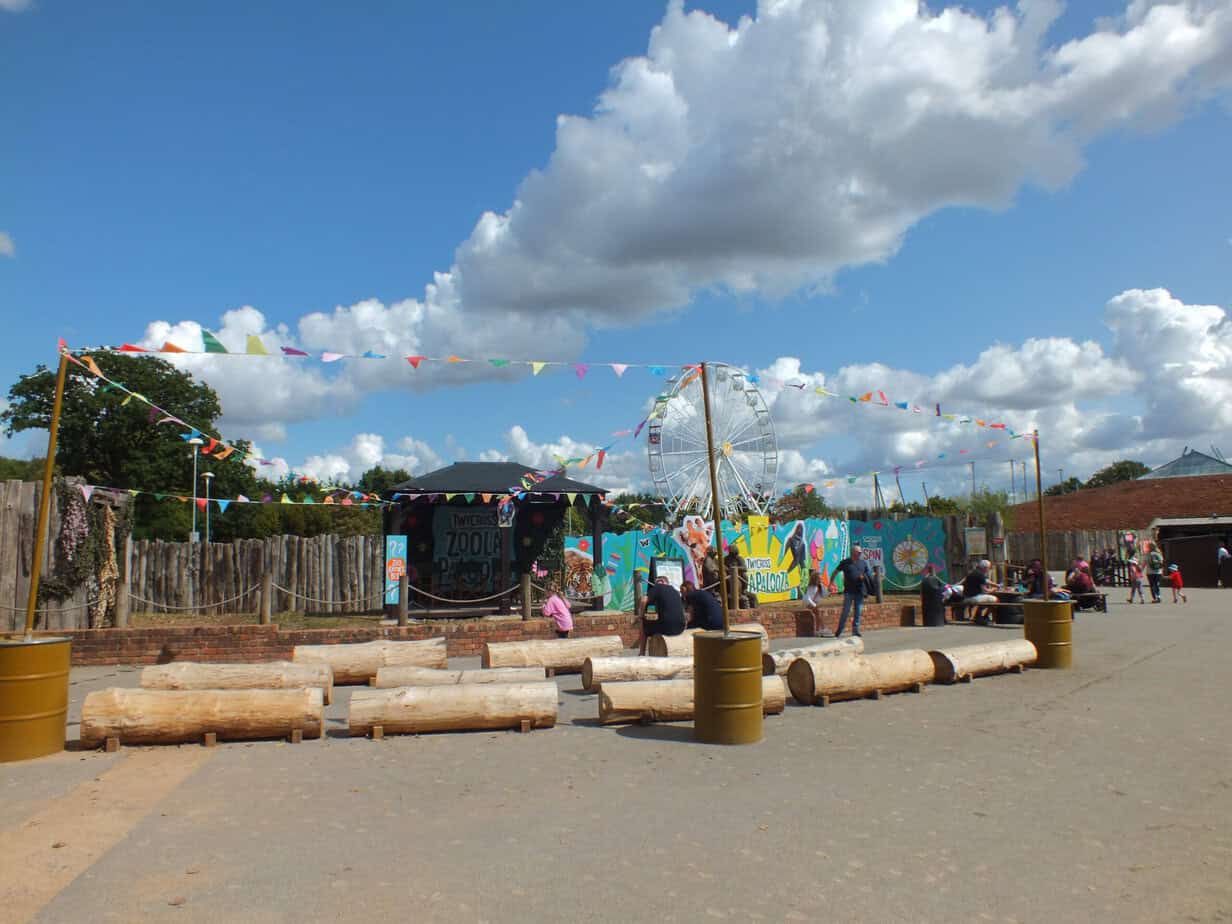 Colourful outdoor family area at Twycross Zoo with log seating and strings of bright bunting overhead. Visitors sit and walk around the open space with the Ferris wheel visible in the background.
